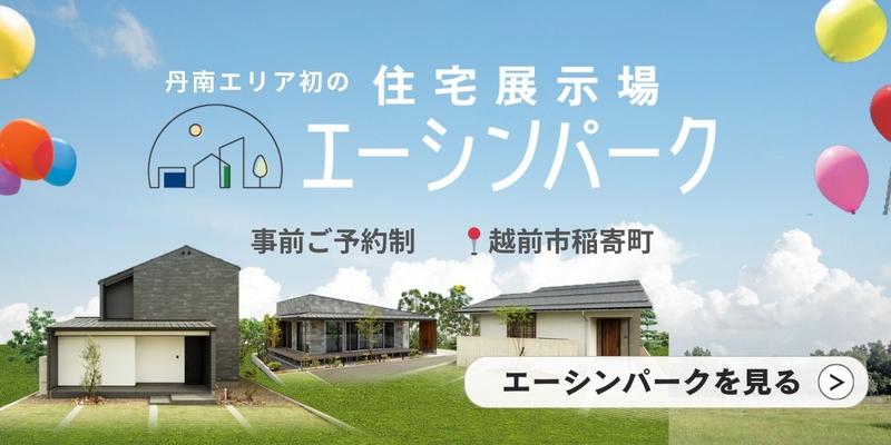 ��������ѡ���